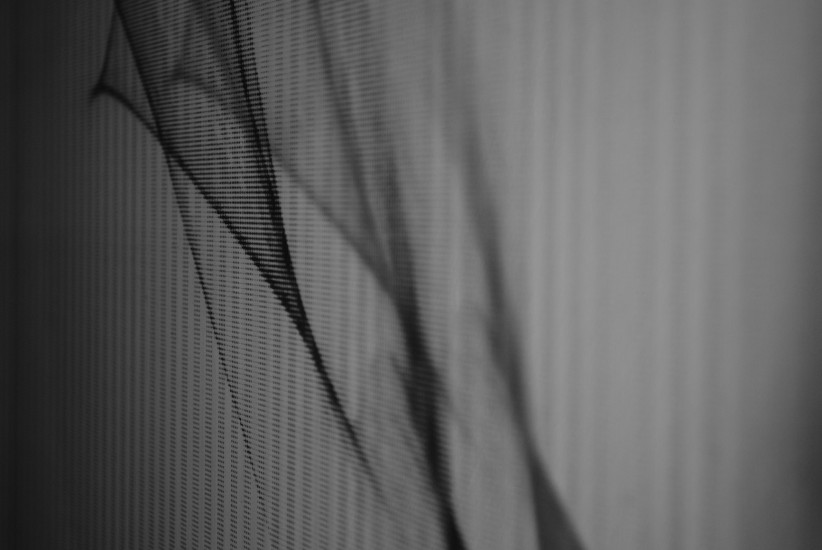 Reflection [ 6 ] - zoom